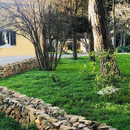 Villa In Salento Lecce Zewnętrze zdjęcie